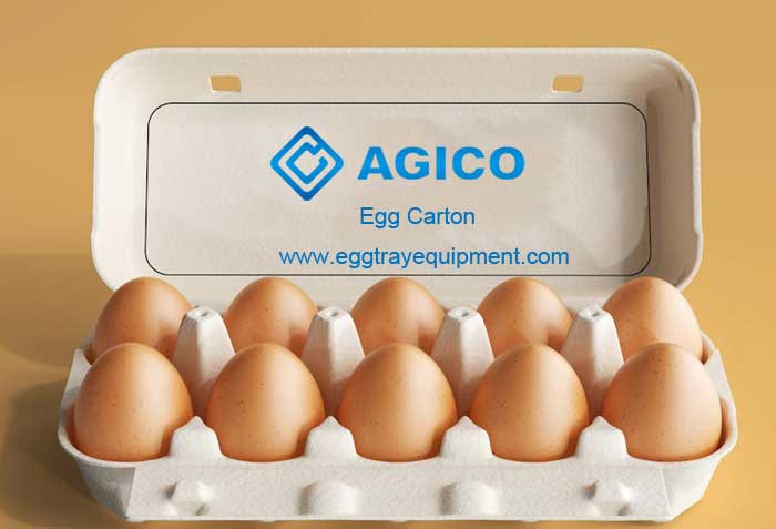 egg tray egg tray